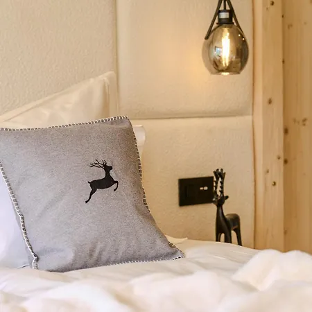 Appartamaint Tscherv By Vacations, Exklusive Im Zentrum Mit Blick Auf Den Untersee Und Berge Inkl Parkplatz Apartment Arosa
